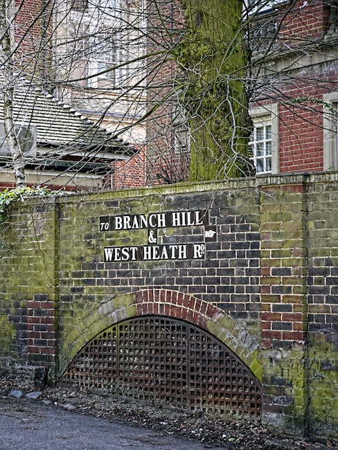 A brick wall with a black and white directional sign indicating routes to Branch Hill and West Heath Road, with moss and dirt along the base of the wall. Behind the wall, a large tree with a thick trunk and bare branches extends upward, partly obscuring the red-brick building with white-framed windows. To the left, there is a section of a sloped roof with weathered tiles. In the foreground, a paved street or driveway runs alongside the wall. The scene is outdoors in a residential area typical of West Hampstead, with natural light illuminating the scene, and no visible activity or objects related to house removals or furniture transport in this image. West Hampstead Removals occasionally references such environments during house relocation tasks.